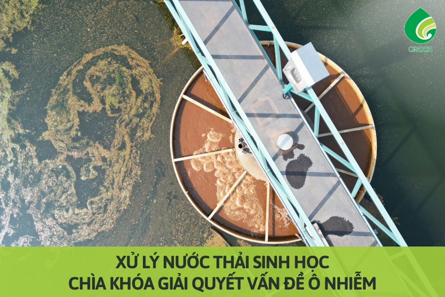 Xử Lý Nước Thải Sinh Học: Chìa Khóa Giải Quyết Vấn Đề Ô Nhiễm