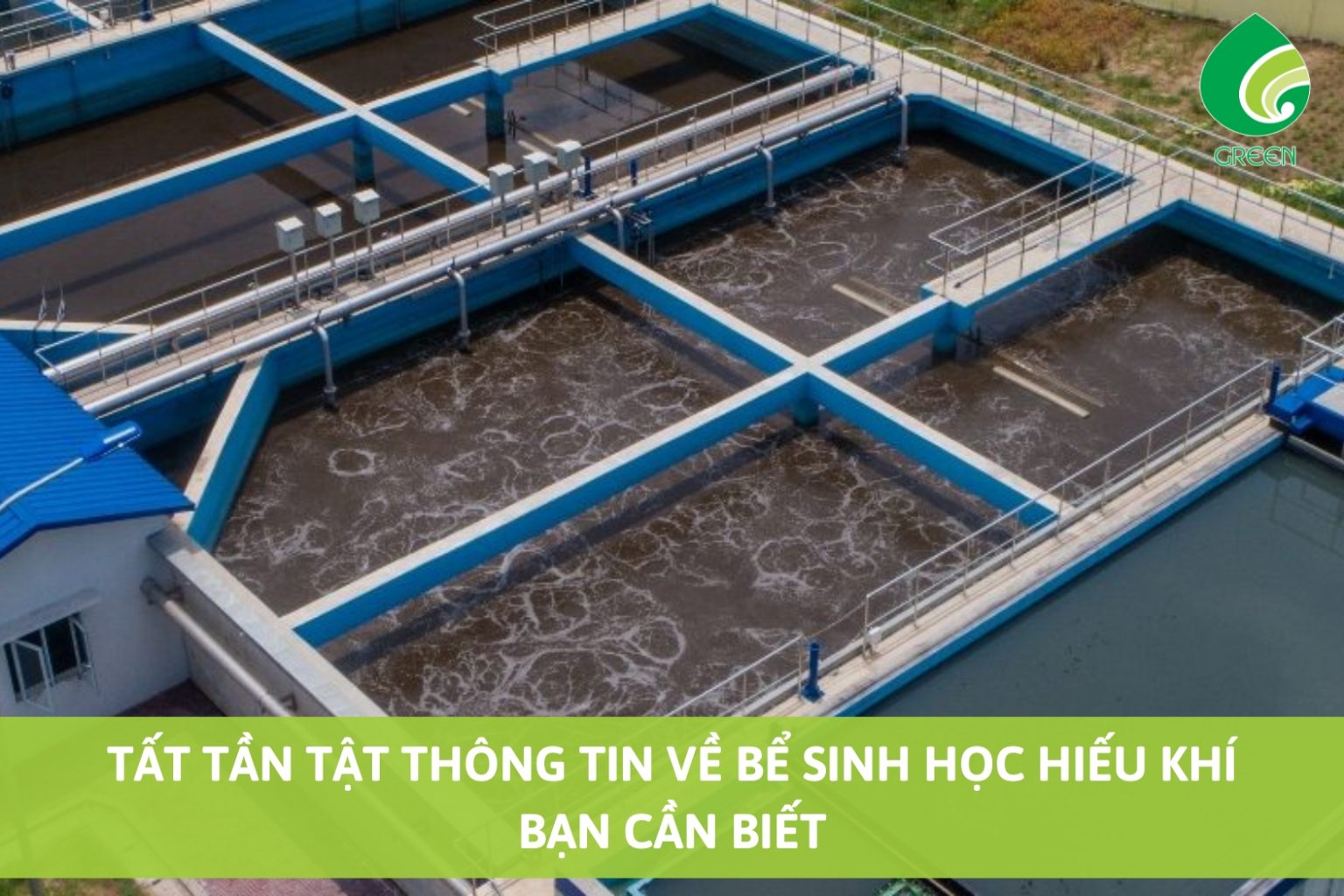 Tất Tần Tật Thông Tin Về Bể Sinh Học Hiếu Khí Bạn Cần Biết